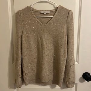 Loft Sparkle Sweater